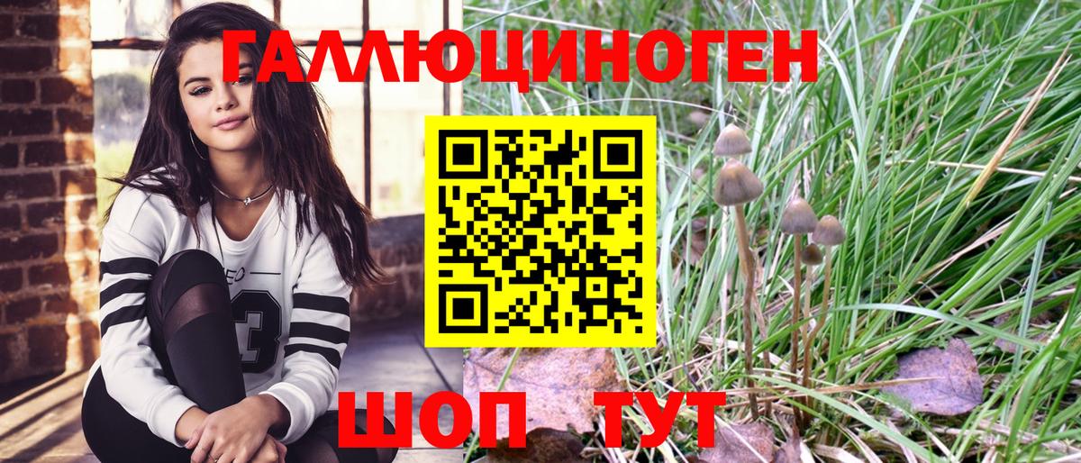 Симферополь  Псилоцибиновые грибы прущие грибы  Вход с VPN 